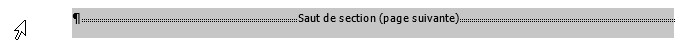 saut_section_copie